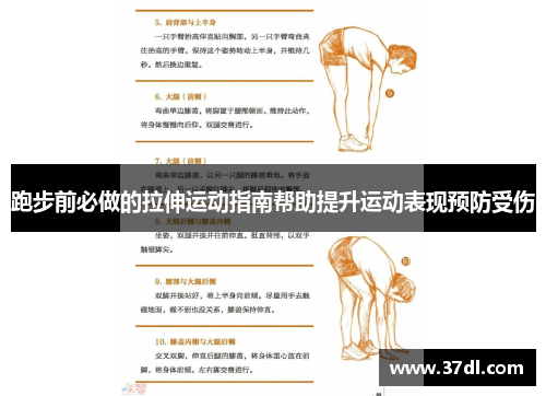 跑步前必做的拉伸运动指南帮助提升运动表现预防受伤