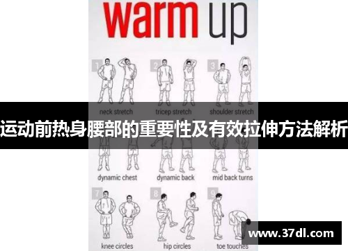 运动前热身腰部的重要性及有效拉伸方法解析