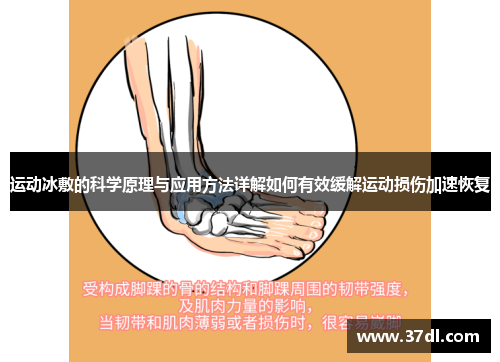 运动冰敷的科学原理与应用方法详解如何有效缓解运动损伤加速恢复