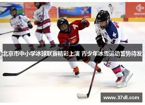 北京市中小学冰球联赛精彩上演 青少年冰雪运动蓄势待发