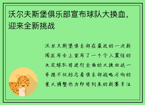 沃尔夫斯堡俱乐部宣布球队大换血，迎来全新挑战